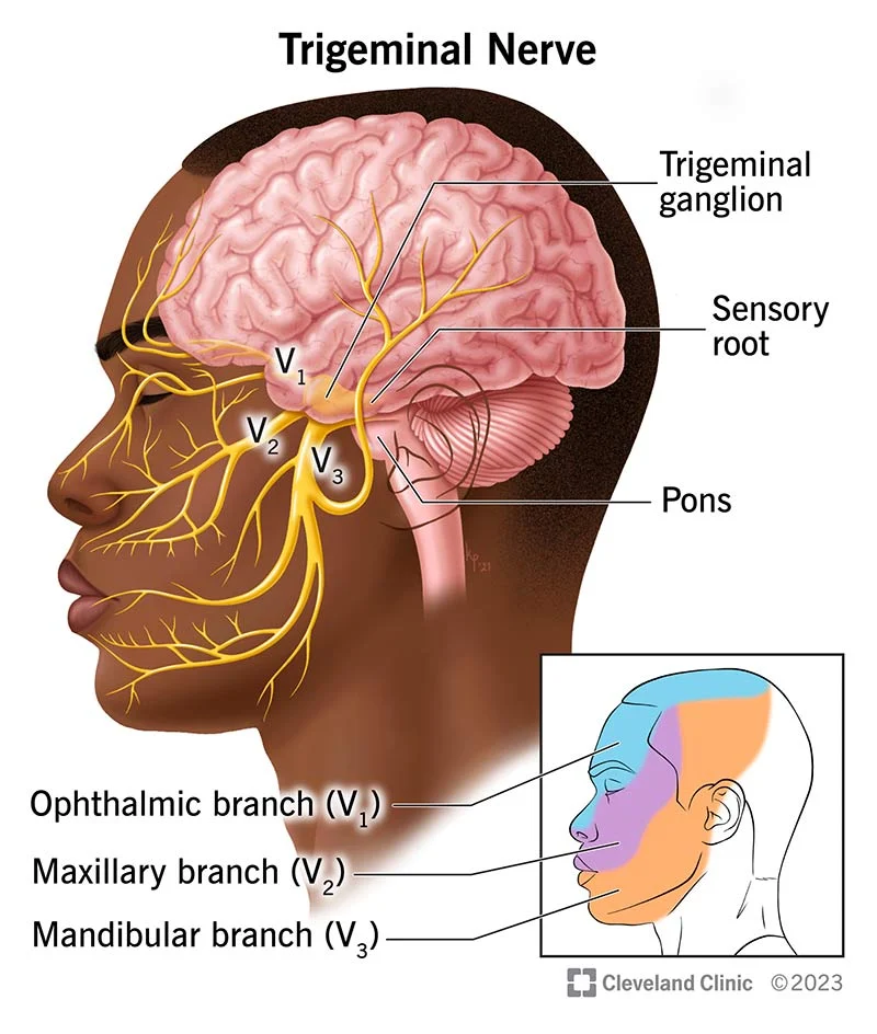 Best Neuro Specialist Near Me