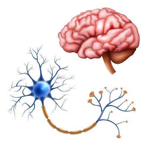 Neurosurgeon Near Me