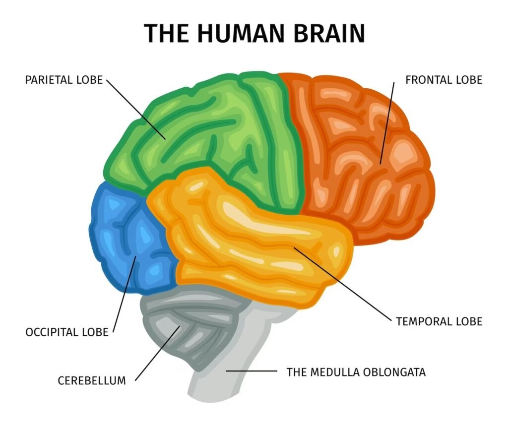 head injury
